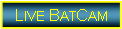 Text Box: Live BatCam